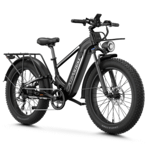 Aipas M2 Xterrain Ebike Aipas-M2-black Basket